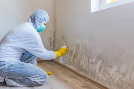 Why You Should Choose Our Mold Remediation Services in Cottage Grove, MN